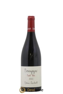 Bourgogne Pinot Noir Antoine Lienhardt