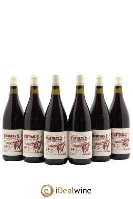 Afrique du Sud Scions of  Sinai Pinotage Atlantikas