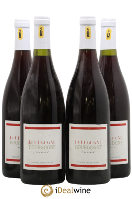 Bourgogne Les Riaux Renaud Boyer