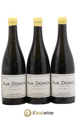 Ajaccio Aja Donica Vaccelli