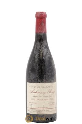 Ambonnay Cuvée des Grands Côtés VV Grand Cru Egly-Ouriet