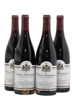 Coteaux Bourguignons Joseph Roty (Domaine)