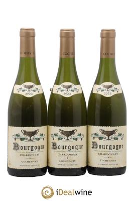 Bourgogne Coche Dury (Domaine)