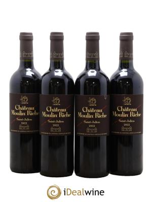 Château Moulin Riche