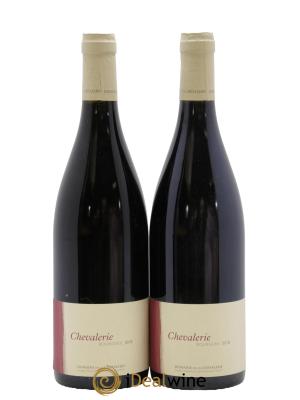 Bourgueil Chevalerie Domaine de la Chevalerie