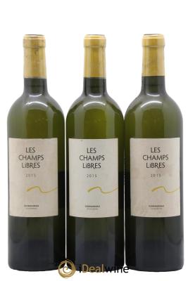 Château Grand Village Champs Libres