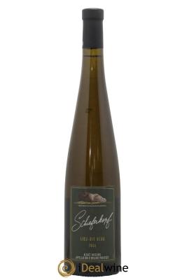 Alsace Riesling Lieu-dit Berg Schieferkopf - Chapoutier