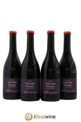 Bourgogne Cras Domaine de la Cras - Marc Soyard