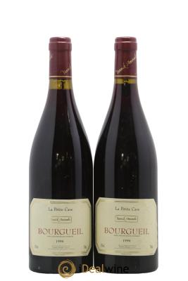 Bourgueil Petite cave Yannick Amirault (Domaine)