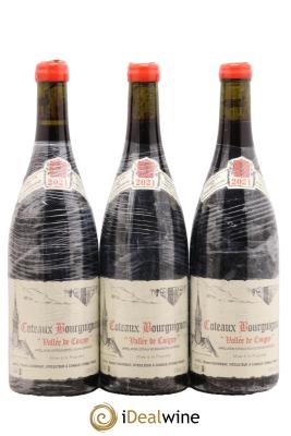 Coteaux Bourguignons Vallée de Coigny Vincent Dauvissat