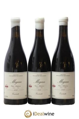 Vinos Atlanticos - Islas Canarias Migan Envinate