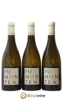 Vin de Corse Calvi Pumonte Domaine Alzipratu