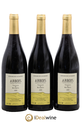 Arbois Trousseau de Messagelin Cavarodes (Domaine des) - Etienne Thiébaud