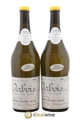 Arbois Melon à Queue Rouge Cuvée des Docteurs Lucien Aviet (Domaine)
