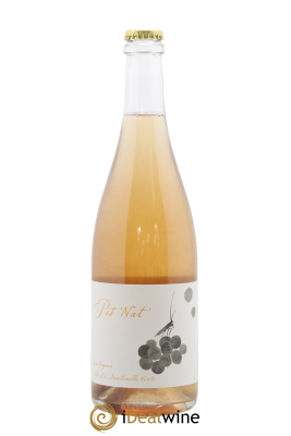 Vin de France Pet' Nat' Adrien Berlioz