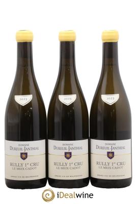 Rully 1er Cru Le Meix Cadot Vincent Dureuil-Janthial