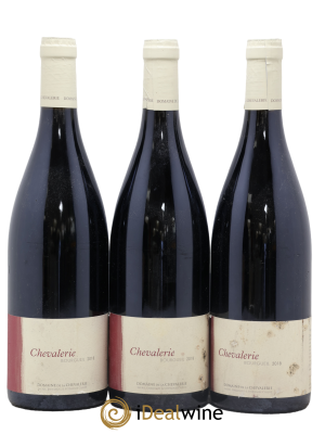 Bourgueil Chevalerie Domaine de la Chevalerie