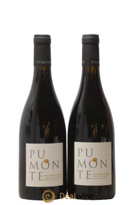 Vin de Corse Calvi Pumonte Domaine Alzipratu