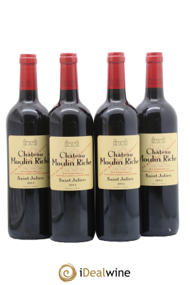 Château Moulin Riche