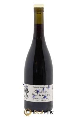 Bourgogne Pinot de Zinc Dandelion (Domaine)
