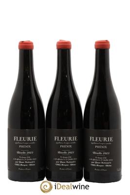 Fleurie Phénix Yann Bertrand