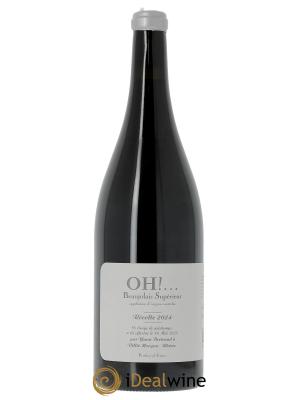 Beaujolais OH Yann Bertrand 