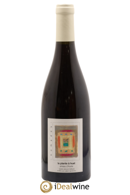 Vin de France La Plante à Huet Pineau D'aunis Romain - Julien - Charline Labet