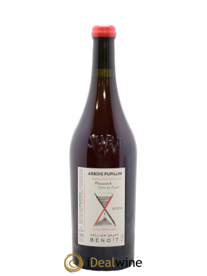 Arbois-Pupillin Ploussard Côte de Feule Cellier Saint Benoît