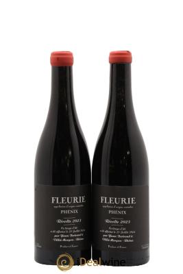 Fleurie Phénix Yann Bertrand