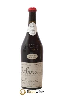 Arbois Trousseau Les Bruyères Cuvée des Géologues Lucien Aviet (Domaine)