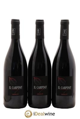 Italie Venezia Giulia IGT Merlot Il Carpino