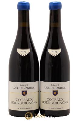 Côteaux Bourguignons Vincent Dureuil-Janthial