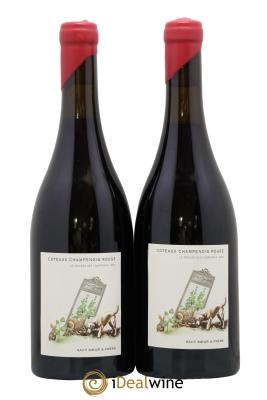 Coteaux Champenois Le Travers des Courtisols Domaine Sacy Sœur et Frere