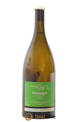 Coteaux de Dijon Domaine de la Cras - Marc Soyard