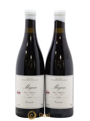 Vinos Atlanticos - Islas Canarias Migan Envinate