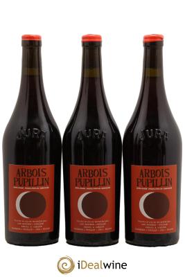 Arbois-Pupillin Ploussard En Aspis Adeline Houillon & Renaud Bruyère