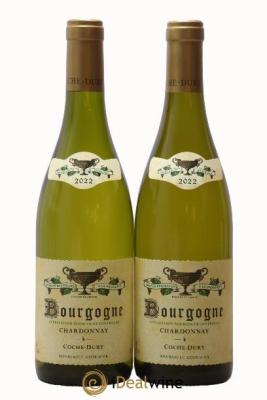 Bourgogne Coche Dury (Domaine)