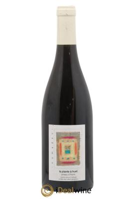 Vin de France Domaine labet La Plante à Huet Pineau D'aunis