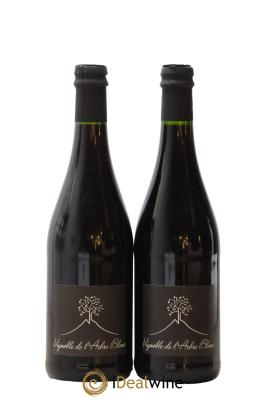 Vin de France Les Orgues Vignoble de l'Arbre Blanc 
