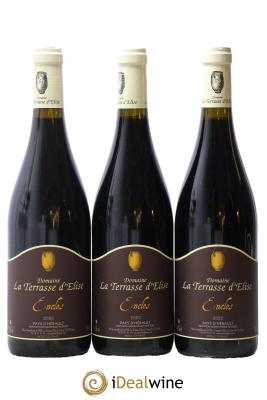 Pays d'Hérault L'Enclos Terrasse d'Elise (Domaine de la)