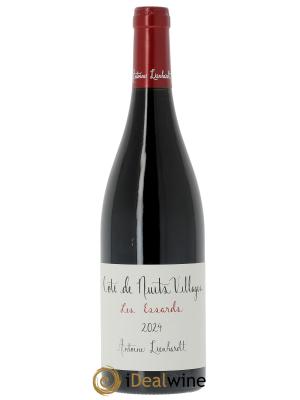 Côte de Nuits-Villages Les Essards Antoine Lienhardt 