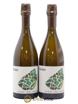 Chétillon de Haut Le Mesnil sur Oger Elise Bougy