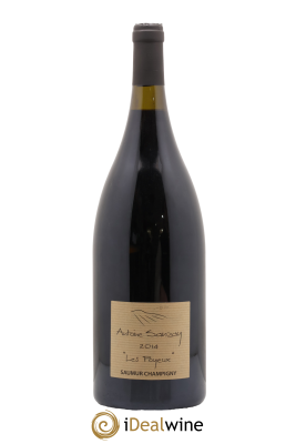 Saumur-Champigny Les Poyeux Antoine Sanzay