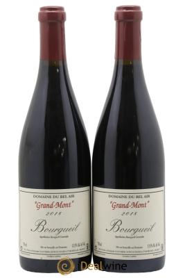Bourgueil Grand Mont Domaine du Bel Air