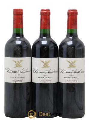 Château Anthonic Cru Bourgeois