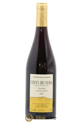 Côtes du Jura Pinot Noir Les Lumachelles Cavarodes (Domaine des) - Etienne Thiébaud