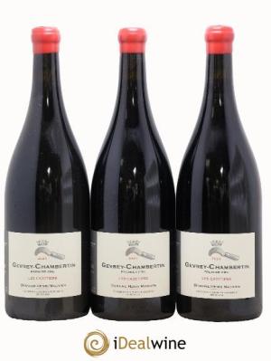 Gevrey-Chambertin 1er Cru Les Cazetiers Henri Magnien (Domaine)