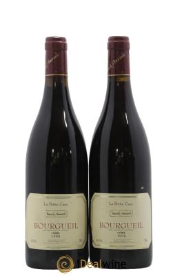 Bourgueil Petite cave Yannick Amirault (Domaine)