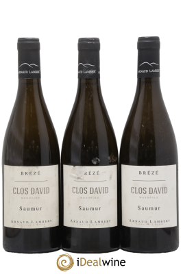 Saumur Brézé Clos David Arnaud Lambert