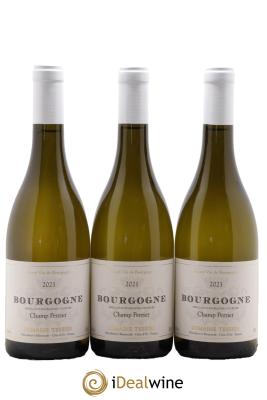Bourgogne Champ Perrier Tessier